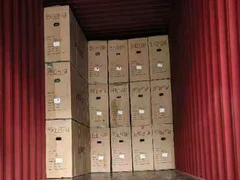 Skibe handicap elektrisk scooter til Bulgarien